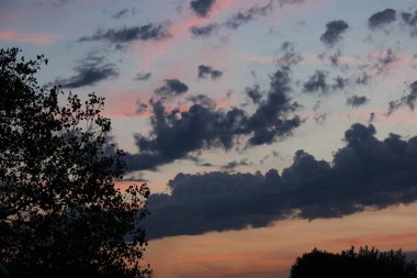 Gün doğumu, ağaç silueti ve renkli bulutlar.