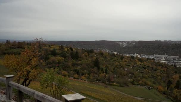 Krásný Výhled Vinice Podzimní Pohled Barevné Barvy Město Stuttgart Průmysl — Stock video
