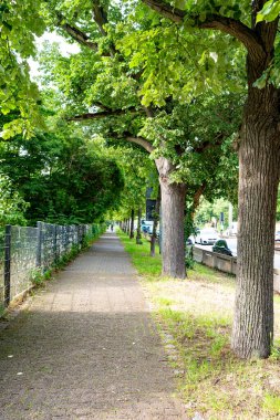 Stuttgart 'ta güzel bir cadde
