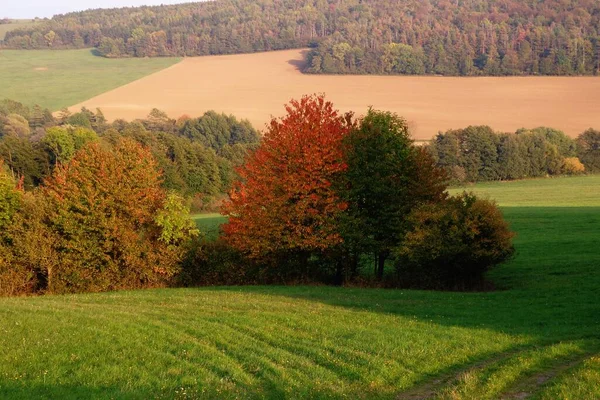 Autumn rural landscape around the town of Myjava, Slovakia.