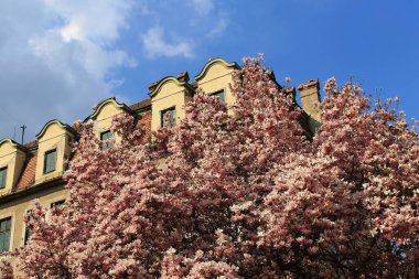 Old abandoned spa hotel Slovan in spring. Piestany, Slovakia.