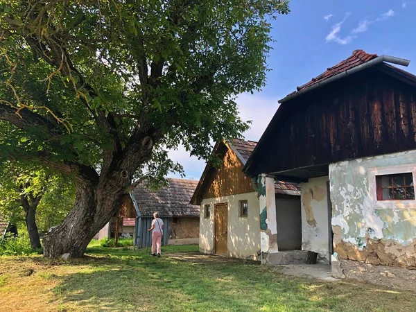 Lkbaharda Slovakya Hont Bölgesinde Eski Üzüm Bağı Evleri — Stok fotoğraf