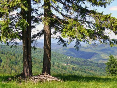 Velka Raca, Kysucke Beskydy Dağları, Slovakya.