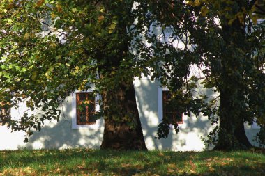 Dubnica, Slovakya, 20 Ekim 2022 şehir parkında güzel bir sonbahar günü. Eski bir malikane var..