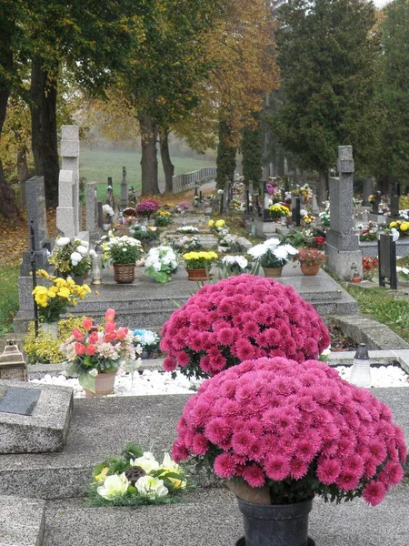 Chrześcijański Cmentarz Urządzony Dzień Wszystkich Świętych Jest Mglisty Listopadowy Dzień Obraz Stockowy