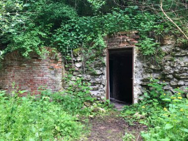 Yeşilliklerle kaplanmış terk edilmiş bir mahzene giriş..