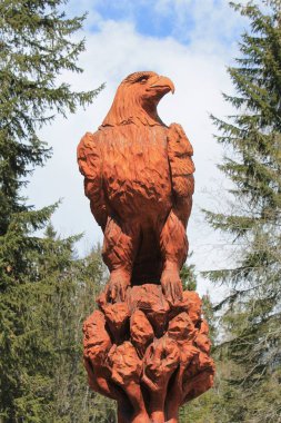 Strbske Pleso, Slovakya, 17 Kasım 2019: Vysoke Tatry Ulusal Parkı 'nda bir kartal oyması. 