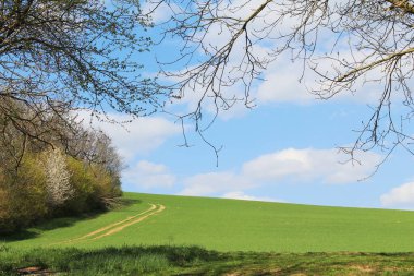 Bahar manzarası manzarası. Tarlanın kıyısında, ormanın etrafından ufka uzanan toprak bir yol var. Slovak doğası.