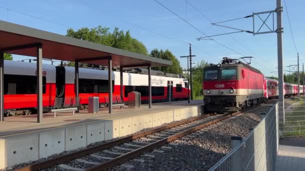 Trenes Locales Llegando Plataforma Estación Imágenes Fullhd Alta Calidad — Vídeos de Stock