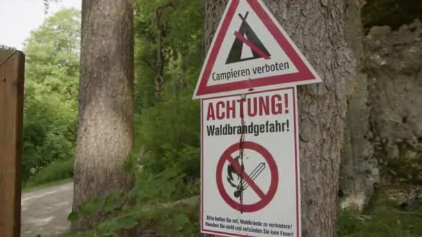 Schilder Mit Waldbrandgefahr Und Kein Zelten Auf Deutsch Kiefern Hochwertiges — Stockvideo
