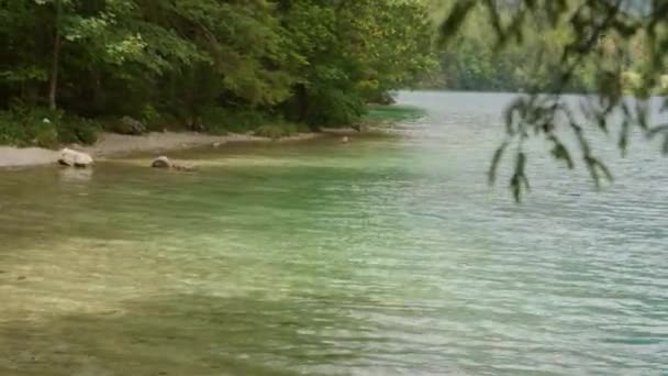 きれいなSalzkammergut湖の紺碧の水はゆっくりと動きます 高品質4K映像 — ストック動画