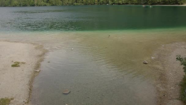 Rio Que Flui Para Fora Lago Alpino Salzkammergut Alta Áustria — Vídeo de Stock