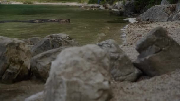 オーストリア北部のザルツカンマーグートにあるラングバシー湖の岸 高品質4K映像 — ストック動画