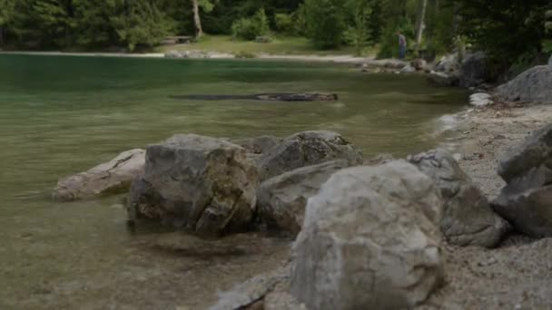 オーストリア北部のザルツカンマーグートにあるラングバシー湖の岸 高品質4K映像 — ストック動画