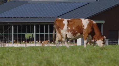 Solar termal ve fotovoltaik sistem ahıra yerleştirildi. Yüksek kalite 4k görüntü