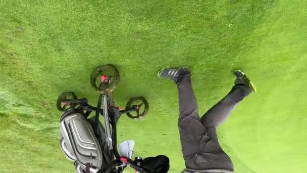 Golfspeler Loopt Golfbaan Met Tas Hoge Kwaliteit Beeldmateriaal — Stockvideo