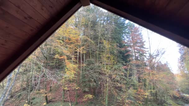 Φθινοπωρινό Δάσος Και Θέα Από Σπίτι Στέγη Υψηλής Ποιότητας Πλάνα — Αρχείο Βίντεο
