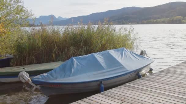 Barca Vela Lago Alpino Salzkammergut Filmati Alta Qualità — Video Stock