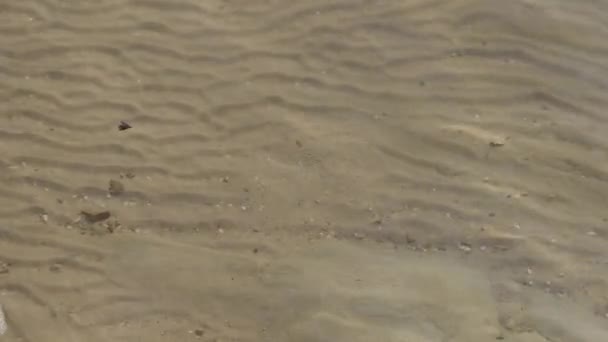 湖の底の砂の波紋と波 高品質4K映像 — ストック動画