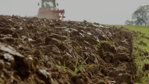 Trattore Aratura Campo Agricolo Autunno Filmati Alta Qualità — Video Stock