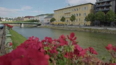 Bad Ischl Esplanade, Yukarı Avusturya 'daki Traun Nehri' nde geziniyor. Yüksek kalite 4k görüntü