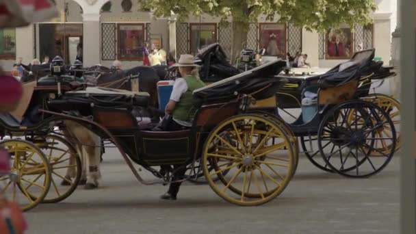 Paardenkoetsen Residenzplatz Salzburg Oostenrijk Hoge Kwaliteit Beeldmateriaal — Stockvideo