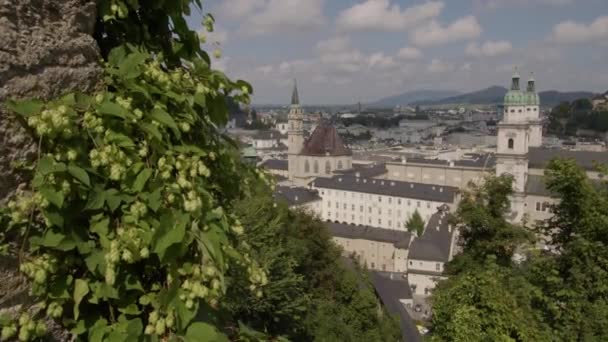 Vista Sobre Salzburgo Igreja Distrito Com Dom Catedral Histórica Cidade — Vídeo de Stock