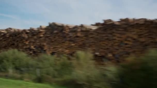 高速道路の近くに木の山がある 高品質4K映像 — ストック動画