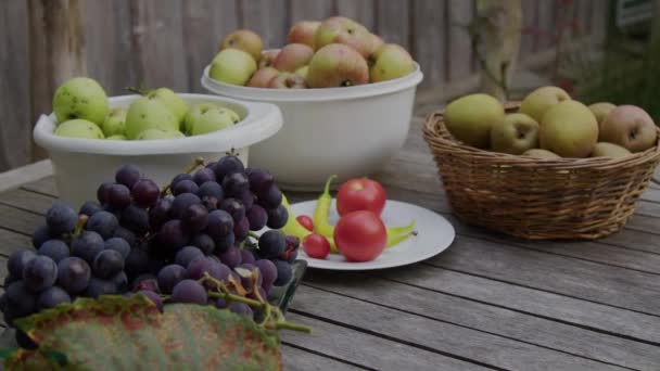 Bahçe Masasında Sonbaharda Toplanan Taze Meyve Yüksek Kalite Görüntü — Stok video