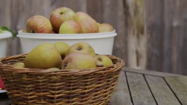 庭のテーブルで秋に収穫された新鮮な果物 高品質4K映像 — ストック動画