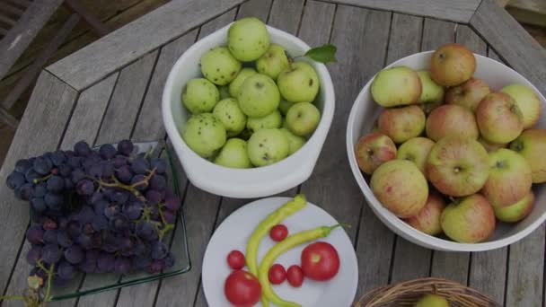 Fruta Fresca Cosechada Otoño Mesa Jardín Imágenes Alta Calidad — Vídeo de stock