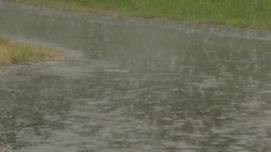 Ağır yağmur asfalt caddesinde patırdıyor. Yüksek kalite 4k görüntü