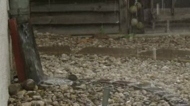 Taş terastaki oluktan şiddetli yağmur mırıldanıyordu. Yüksek kalite 4k görüntü