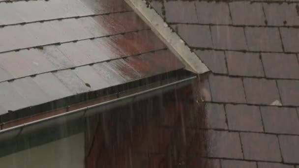 Chuva Pesada Que Flui Sarjeta Telhado Imagens Alta Qualidade — Vídeo de Stock