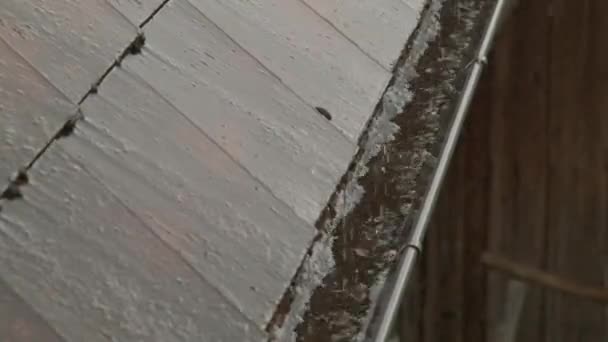 屋根のガターに大雨が流れています 高品質4K映像 — ストック動画