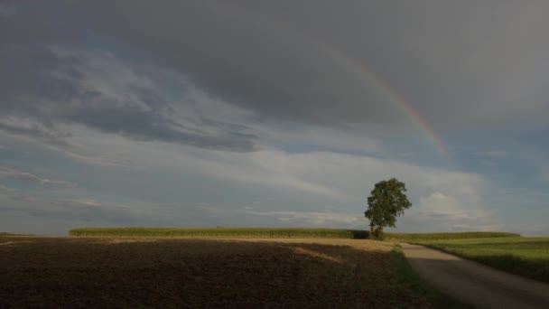 Kırsalda Tarlaları Armut Ağacı Olan Güzel Bir Gökkuşağı Yüksek Kalite — Stok video
