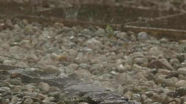 Fuerte Lluvia Pateando Desde Cuneta Terraza Piedra Imágenes Alta Calidad — Vídeos de Stock