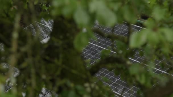 Heavy Rain Photovoltaic Panels Tree Branches High Quality Footage — Stock Video