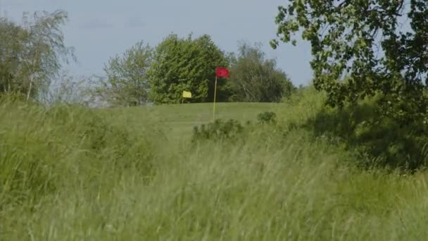 Golfbaan Met Vlaggen Speler Swingend Hoge Kwaliteit Beeldmateriaal — Stockvideo