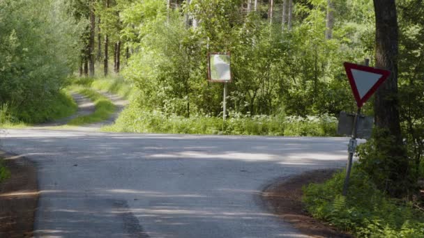 Cruce Caminos Bosque Con Señales Tráfico Imágenes Alta Calidad — Vídeos de Stock