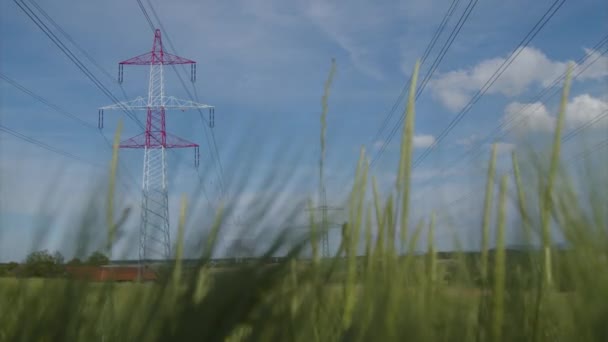 Linee Elettriche Alta Tensione Nel Paesaggio Rurale Filmati Alta Qualità — Video Stock