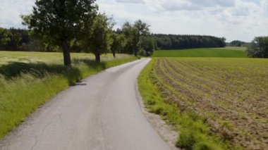 Yazın ağaçlarla ve tarımsal alanlarla dolambaçlı kırsal yol. Yüksek kalite 4k görüntü