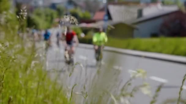 Bisikletçiler Bisiklet Gününde Yoldalar Yüksek Kalite Görüntü — Stok video