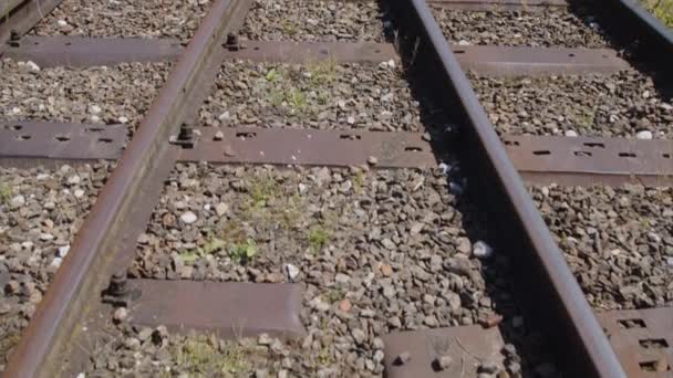 Järnvägsspår Gammal Järnväg Högkvalitativ Film — Stockvideo