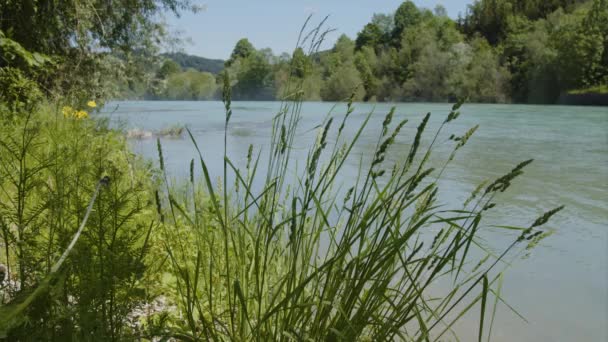 Prachtig Natuurlandschap Aan Steyr Rivier Hoge Kwaliteit Beeldmateriaal — Stockvideo