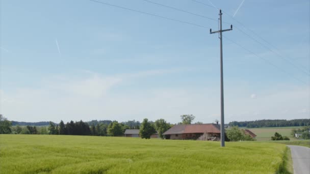 古老的农舍和风在青麦田里耕耘 高质量的4K镜头 — 图库视频影像
