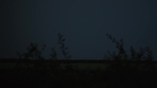夜间有灯光 高质量的4K镜头 — 图库视频影像