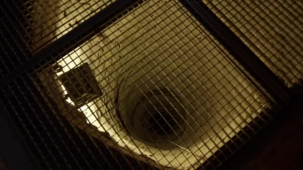 Cisterna Adega Castelo Histórico Imagens Alta Qualidade — Vídeo de Stock