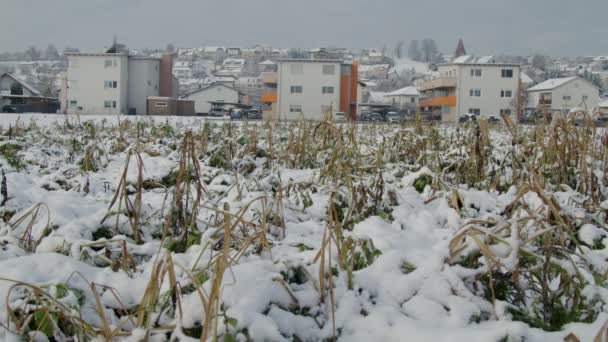 Κατοικίες Μικρή Πόλη Και Χιονισμένο Χωράφι Υψηλής Ποιότητας Πλάνα — Αρχείο Βίντεο