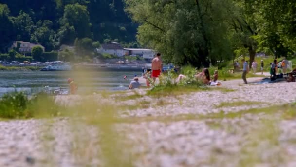 Ludzie Kąpiący Się Plaży Linz Danube Urfahr Wysokiej Jakości Materiał — Wideo stockowe